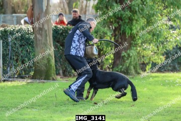 IMG_3141.jpg