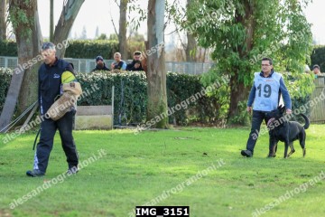 IMG_3151.jpg