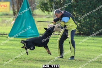 IMG_3225.jpg