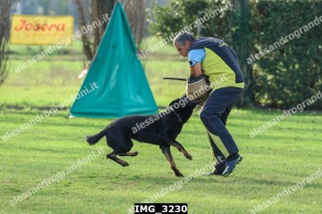 IMG_3230.jpg
