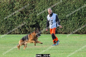 IMG_3314.jpg