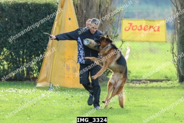 IMG_3324.jpg