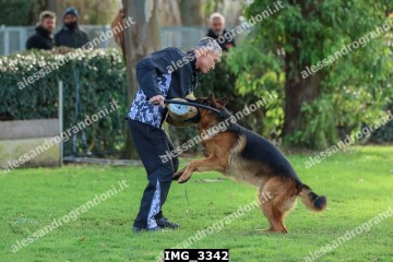 IMG_3342.jpg