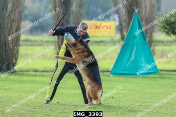 IMG_3393.jpg