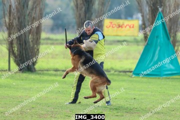 IMG_3400.jpg