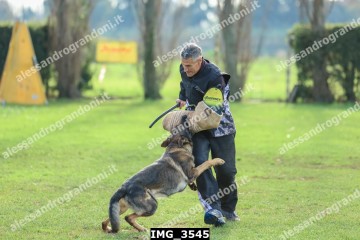 IMG_3545.jpg