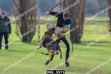 IMG_3571.jpg