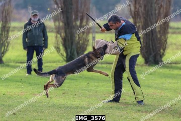 IMG_3576.jpg