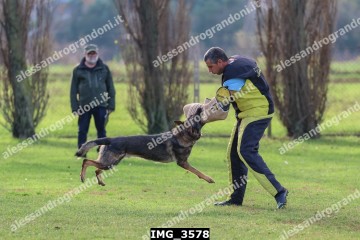 IMG_3578.jpg
