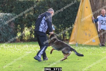 IMG_3723.jpg