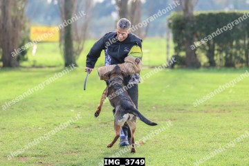 IMG_3749.jpg