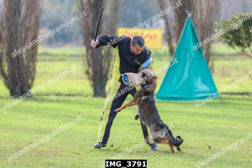 IMG_3791.jpg