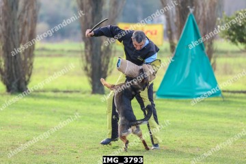IMG_3793.jpg