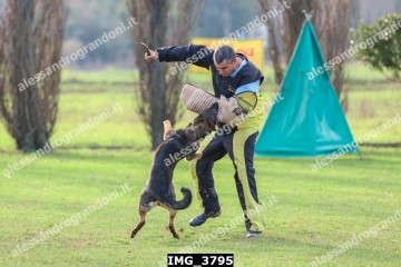 IMG_3795.jpg
