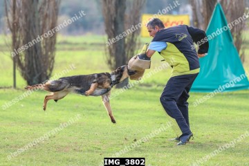 IMG_3802.jpg