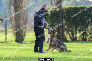 IMG_3975.jpg