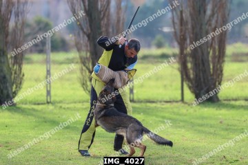 IMG_4027.jpg