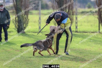 IMG_4039.jpg