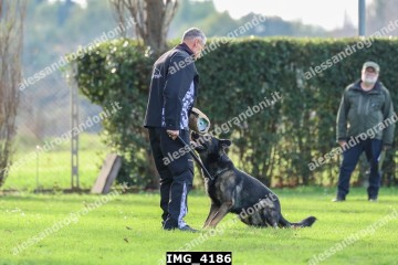 IMG_4186.jpg