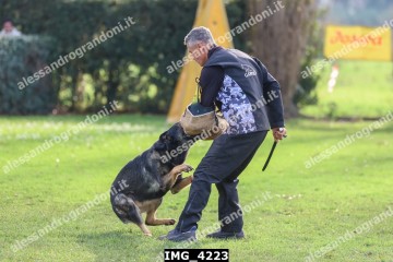 IMG_4223.jpg