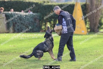 IMG_4240.jpg
