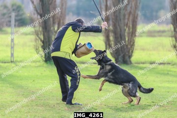 IMG_4261.jpg