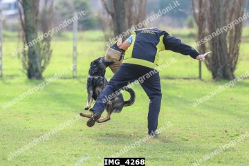 IMG_4268.jpg