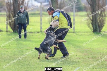 IMG_4288.jpg