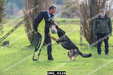 IMG_4326.jpg