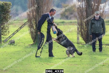 IMG_4329.jpg