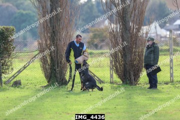 IMG_4436.jpg