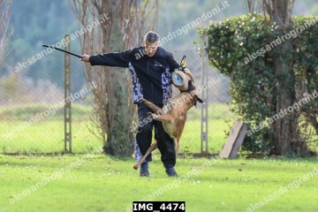 IMG_4474.jpg