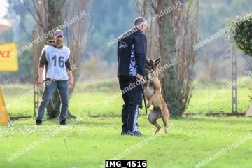IMG_4516.jpg