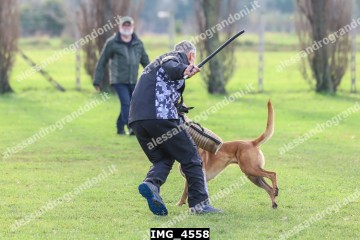IMG_4558.jpg