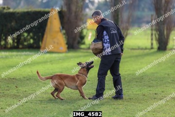 IMG_4582.jpg