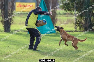 IMG_4618.jpg
