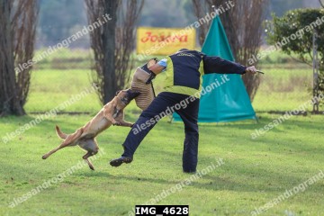 IMG_4628.jpg