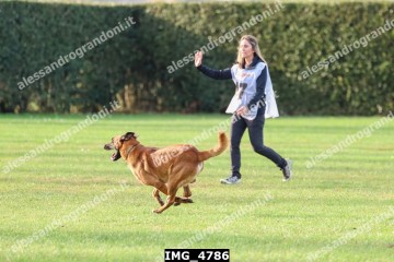 IMG_4786.jpg