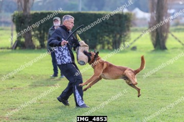 IMG_4853.jpg