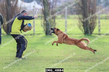 IMG_4884.jpg