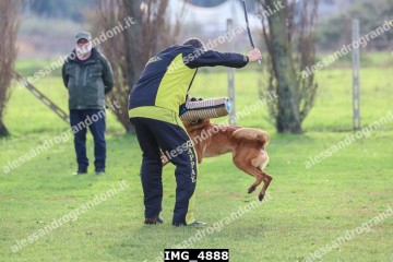 IMG_4888.jpg