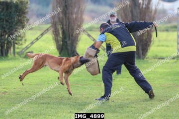 IMG_4899.jpg