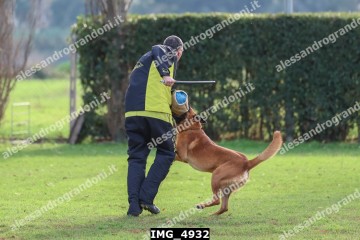 IMG_4932.jpg