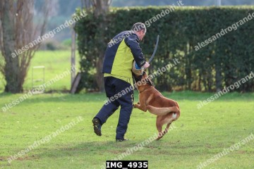 IMG_4935.jpg