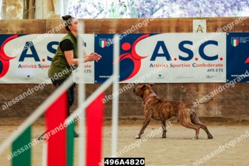 496A4820.jpg