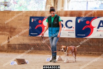 496A5018.jpg