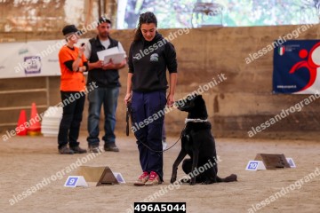 496A5044.jpg