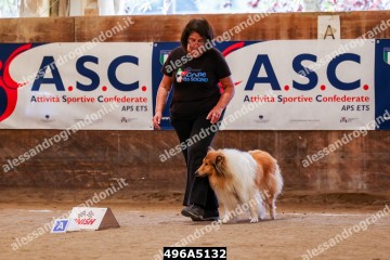 496A5132.jpg