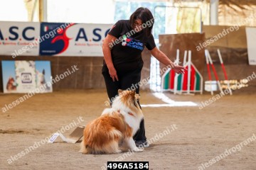 496A5184.jpg