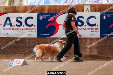 496A5206.jpg
